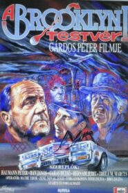 The Brother from Brooklyn 1995 one on netflix