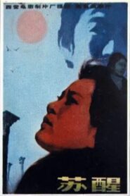 Awakening 1981 one on netflix