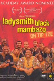 On Tiptoe: Gentle Steps to Freedom 2000 one on netflix