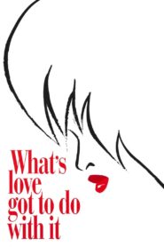 What’s Love Got to Do with It 1993 one on netflix