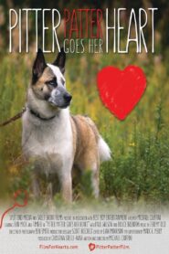 Pitter Patter Goes Her Heart 2015 one on netflix