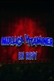 Mulliga Vitaminer 1993 one on netflix