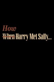 How Harry Met Sally… 2001 one on netflix