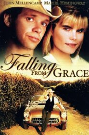 Falling from Grace 1992 one on netflix