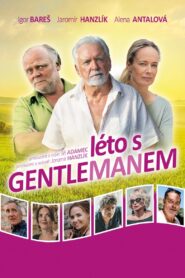 Summer with the gentleman 2019 one on netflix