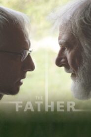 The Father 2020 one on netflix