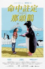 Penguin Girl 2022 one on netflix