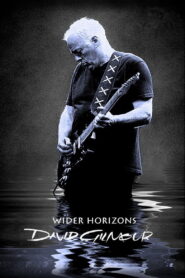 David Gilmour: Wider Horizons 2015 one on netflix