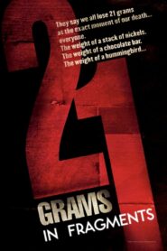 21 Grams: In Fragments 2004 one on netflix