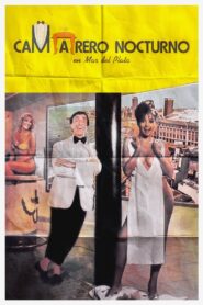 Camarero nocturno en Mar del Plata 1986 one on netflix