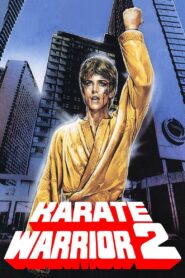Karate Warrior 2 1988 one on netflix