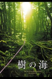 Jyukai: The Sea of Trees Behind Mt. Fuji 2005 one on netflix