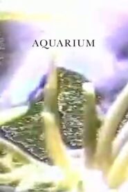 Aquarium 1994 one on netflix
