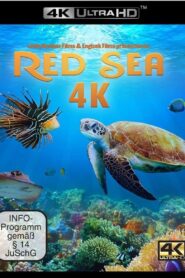 Red Sea 2016 one on netflix