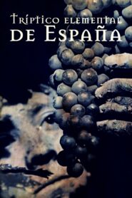 Tríptico elemental de España 1996 one on netflix