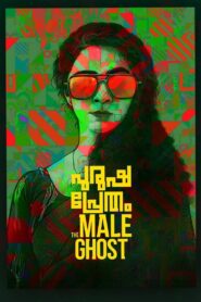 Purusha Pretham 2023 one on netflix