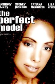 The Perfect Model 1989 one on netflix