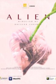 Alien 2023 one on netflix