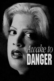 Awake to Danger 1995 one on netflix
