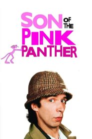 Son of the Pink Panther 1993 one on netflix