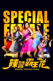 Special Female Force 2016 one on netflix