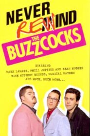 Never Rewind the Buzzcocks 1998 one on netflix
