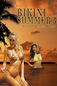 Bikini Summer III: South Beach Heat 1997 one on netflix