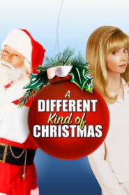 A Different Kind of Christmas 1996 one on netflix
