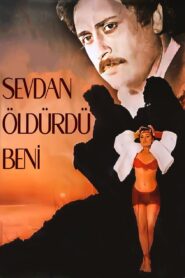 Sevdan Öldürdü Beni 1986 one on netflix