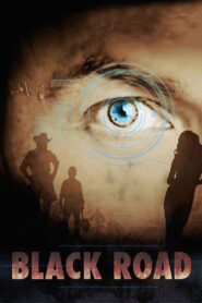Black Road 2015 one on netflix