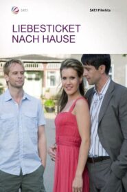 Liebesticket nach Hause 2008 one on netflix