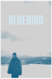Bluebird 2014 one on netflix