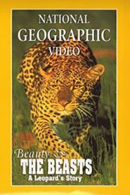 Beauty and the Beasts: A Leopard’s Story 1995 one on netflix