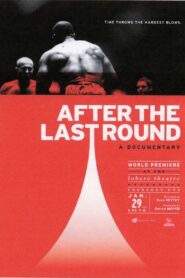 After the Last Round 2009 one on netflix