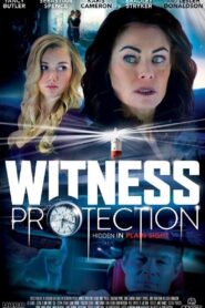 Witness Protection 2017 one on netflix