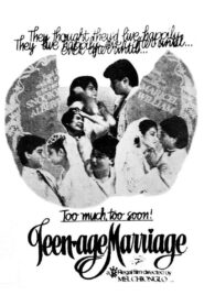 Teenage Marriage 1984 one on netflix