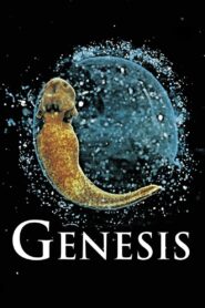 Genesis 2004 one on netflix