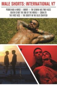 Male Shorts: International V7 2024 one on netflix