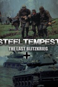 Steel Tempest 2000 one on netflix