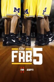 The Fab Five 2011 one on netflix