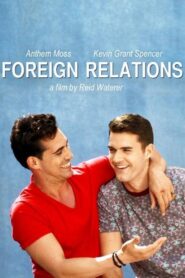 Foreign Relations 2014 one on netflix