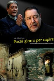 Pochi giorni per capire 2009 one on netflix