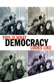 This Is What Democracy Looks Like 2000 one on netflix