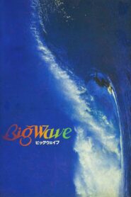 Big Wave 1984 one on netflix
