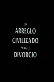 A Civilized Arrangement for Divorce 1992 one on netflix