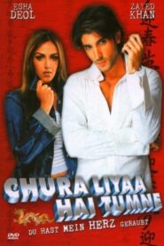 Chura Liyaa Hai Tumne 2003 one on netflix