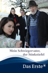 Father-Out-Law 2015 one on netflix