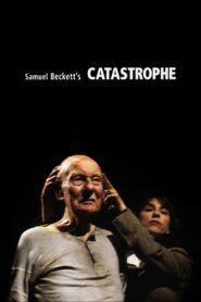 Catastrophe 2001 one on netflix