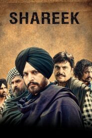 Shareek 2015 one on netflix