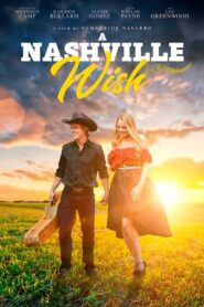 A Nashville Wish 2024 one on netflix